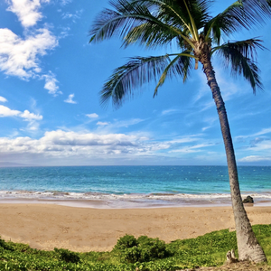 オンラインツアーガイド